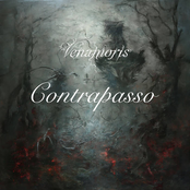 Contrapasso