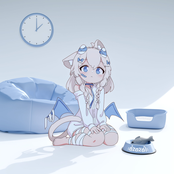 meow or never