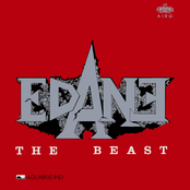 The Beast