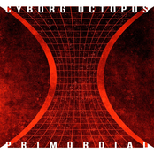 Primordial LIVE