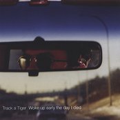 Glad To Be Scattered by Track A Tiger