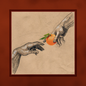 My Ugly Clementine – Vitamin C