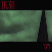 Hush cover