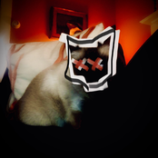 Them Kitty Bones