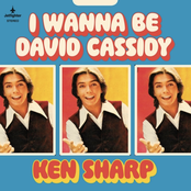 I Wanna Be David Cassidy