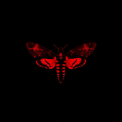 I Am Not A Human Being II