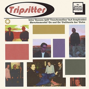 Tripsitter