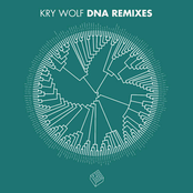 Dna Remixes