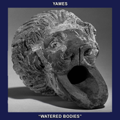 Watered Bodies