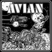 Avian