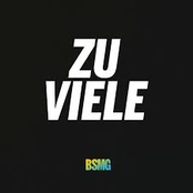 BSMG – Zu viele