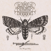 THE WINGED MAN