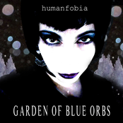 Garden of Blue Orbs