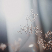 Acceptance