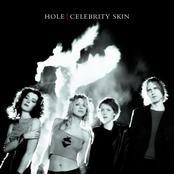 Celebrity Skin cover