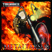 Metaltarsus