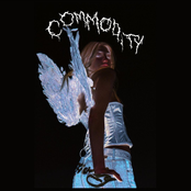 benzii – Commodity