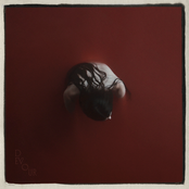 Devour [Explicit]