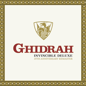 Invincible Deluxe (25th Anniversary Remastered LP)