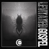 Gospel