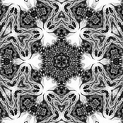 Untitled One