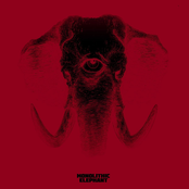 Monolithic Elephant