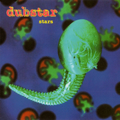 Stars cover