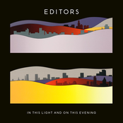 In This Light and on This Evening