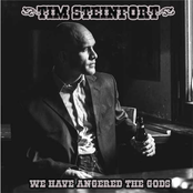Tim Steinfort – We Have Angered The Gods