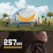 257ers – Mikrokosmos
