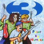 Paint By Number