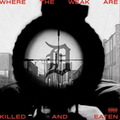 Where The Weak Are Killed And Eaten
