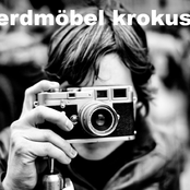 Erdmöbel – Krokus