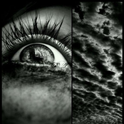 Illusions