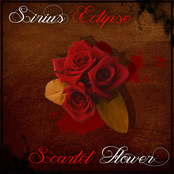 Scarlet Flower