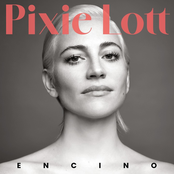 Encino cover