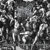 Zygotical Sabbatory Anabapt