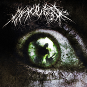 Mauled – TheLastThingYouSee
