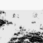 The Black Sea