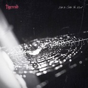 Nets to Catch the Wind (Deluxe)