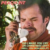 Did I Make You Cry On Christmas Day?