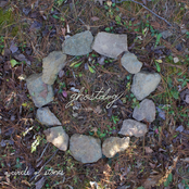 A Circle of Stones