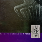 Between Purple and Pink