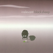 Black Sheep