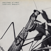 Creature of Habit cover