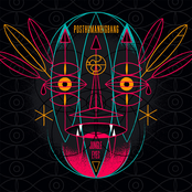 Jungle Eyes
