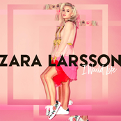I Would Like cover