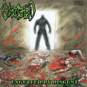 Engulfed By Disgust