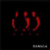 Peto