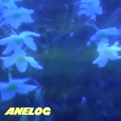 Anelog